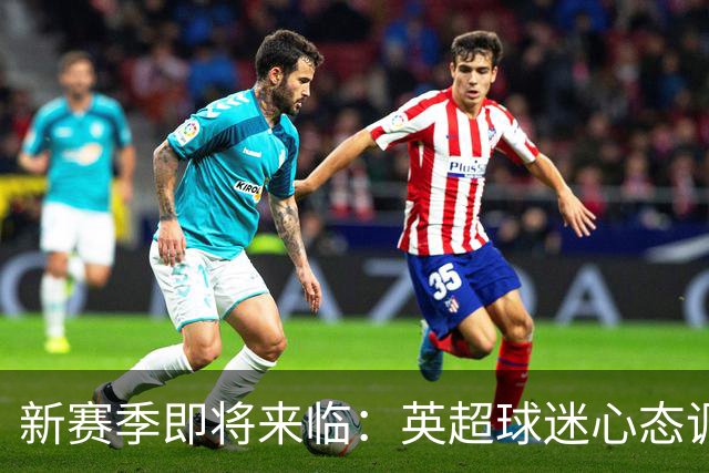 新赛季即将来临：英超球迷心态调查